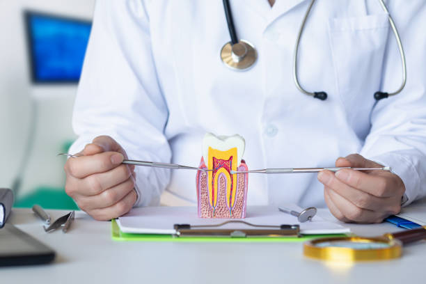Best Same-Day Emergency Dental Services in Celina, OH